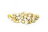 Yellow Green Turbo Shells - 1 Kg